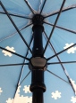 Spectrum Sport Medium Umbrella 2