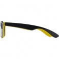 Plastic Sunglasses 2