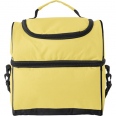 Cooler Bag 5