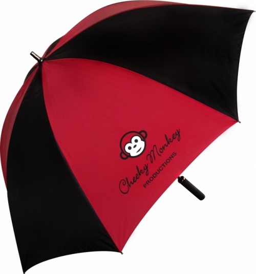 Budget Storm Umbrella