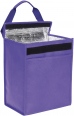 Rainham Lunch Cooler Bag 7