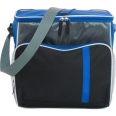 Cooler Bag 2