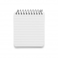 Bailey Notebook 5