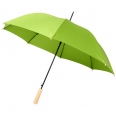 Alina 23 Auto Open Recycled PET Umbrella" 1