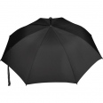 Charles Dickens® Umbrella 3