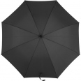 Automatic Umbrella 3