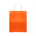 Brunswick Medium Coloured Paper Bag 2