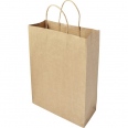Paper Bag (Large) 3