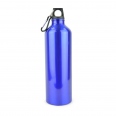 Pollock Glossy 750ml Sports Bottle 2