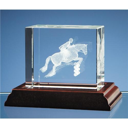 3D Showjumper In Optic Block