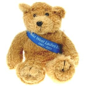 18 cm Scruffy Beanie Bear with Sash