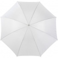 Golf Umbrella 5