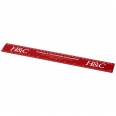 Renzo 30 cm Plastic Ruler 8