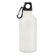 Pollock Glossy 550ml Sports Bottle 20