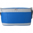 Cooler Bag 2