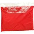 Vinyl Poncho with Hood 3