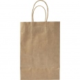 Paper Bag (Small) 2