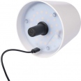 Bottle LED Light 3