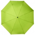 Alina 23 Auto Open Recycled PET Umbrella" 3