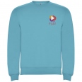 Clasica Unisex Crewneck Sweater 10