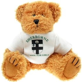 20 cm Sparkie Jointed Bear in a T-Shirt