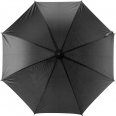 Automatic Umbrella 5