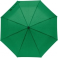 Telescopic Pongee Umbrella 3