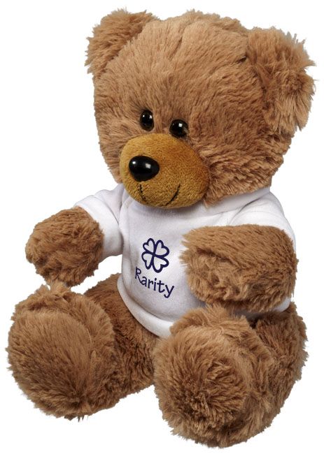 teddy bear with shirt