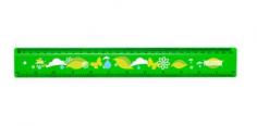 Eco Friendly Ruler 3