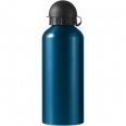 Aluminium Single Walled Drinking Bottle (650ml) 9