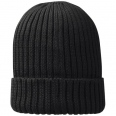 Ives Organic Beanie 5