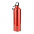 Pollock Glossy 750ml Sports Bottle 4