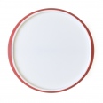 Disc Coaster 6