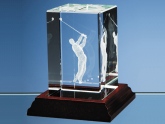 5 Types of Glass Sports Awards that Exude Elegance