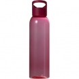 Water Bottle (650ml) 8