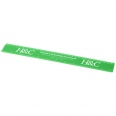 Renzo 30 cm Plastic Ruler 9