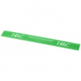 Renzo 30 cm Plastic Ruler 9