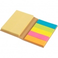 Notebook with Sticky Notes 3