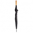 Golf Umbrella 3