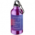 Oregon 400 ml Water Bottle with Carabiner 8