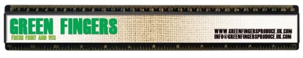 12&quot;/30cm Ruler 2