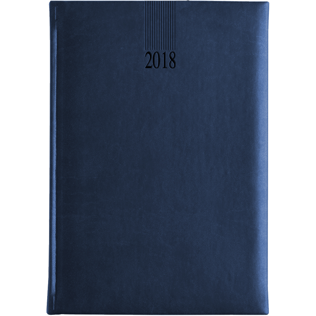 Newhide Daily A5 Desk Diary