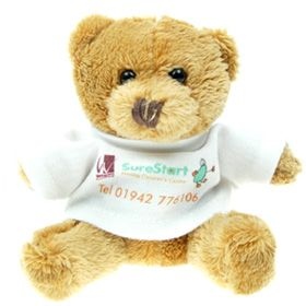 10 cm Mini Beanie Bear in a T-Shirt