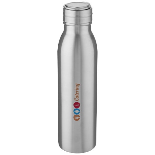 Harper 700 ml Stainless Steel Water Bottle with Metal Loop