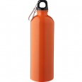 Recycled Single Walled Bottle (750 ml) 9