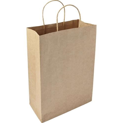 Paper Bag (Large)