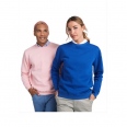 Batian Unisex Crewneck Sweater 5