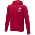 Charon MenS Hoodie 13