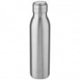 Harper 700 ml Stainless Steel Water Bottle with Metal Loop 1