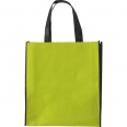 Shopping Bag 9